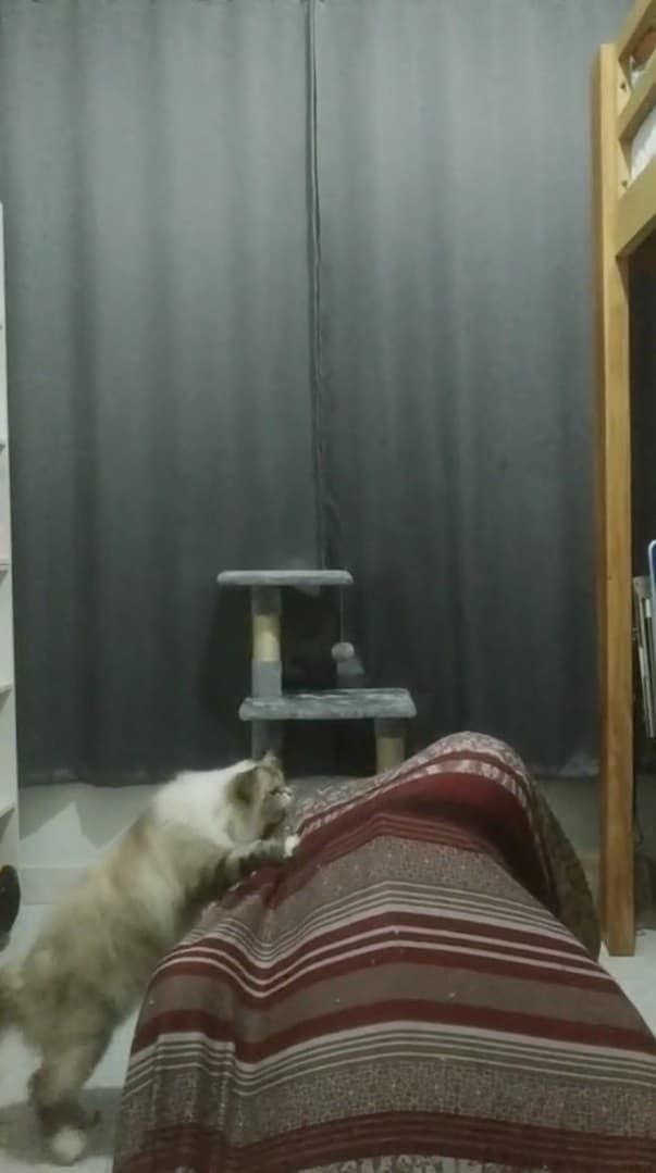 Meologia 023