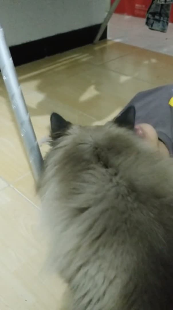 Meologia 057