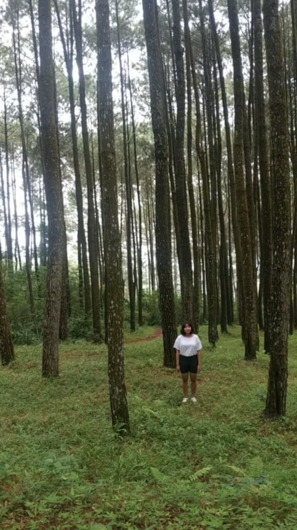 Popohohon (Instruksi Hutan 1)