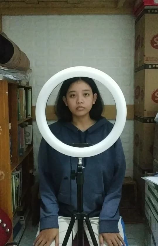 Serangga